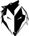 Ekkovision